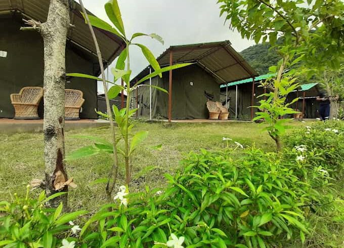 forest Camp in Rishikesh