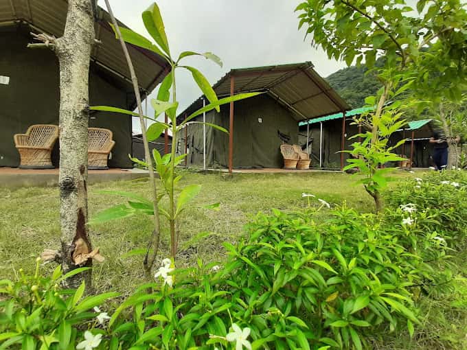 forest Camp in Rishikesh